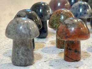13 Pieces Natural Quartz Jasper Crystal Tumbled Mushroom Stones Healing Lot - Picture 1 of 10