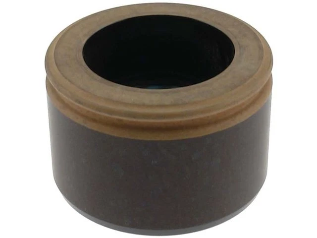 Pistón pinza delantera Carlson 99GV31Q para Ford F150 1980-1996 Foto 1 de 1