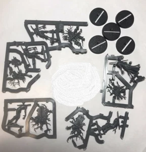 Deadwalker Zombies Warhammer Cursed City 5 Quest Sigmar Tumba Esqueleto Nagash - Imagen 1 de 1