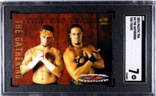 Rare 2004 CM Punk SGC Card WWE AEW WWF Wrestling Wrestlemania TNA Elite Best In
