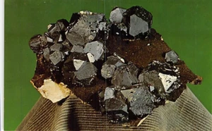 Postcard KS: Octahedral on Chert, Galena, Kansas - Picture 1 of 2