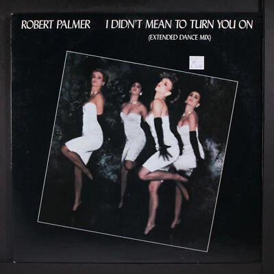 ROBERT PALMER: i didn't mean to turn you on ISLAND 12" Single 33 RPM - Image 1 of 2
