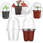 10 vasi per piante da con cupola di umidità vassoi di partenza riutilizzabili