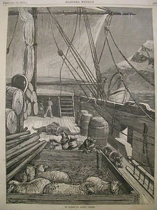 A bordo de un barco ártico, harper’s semanal 1876 - Imagen 1 de 2