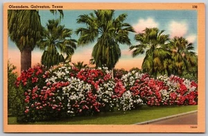 Vtg Galveston Texas TX Oleander Flowers Garden City 1940s View Linen Postcard - Picture 1 of 2