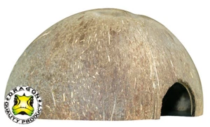 Dragon Kokosnuss Schale Small Kokosnussschale Kokosschale  Terrarium / COR011 - Bild 1 von 3