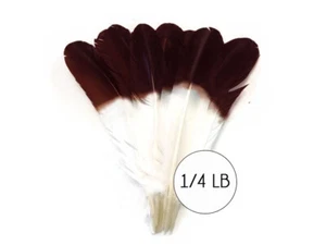 1/4 lbs. - Brown Tipped Tom Turkey Rounds Imitation "Eagle" Wholesale Feathers - Picture 1 of 6