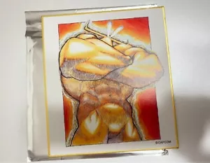 Vampire savior Hunter Darkstalkers mini shikishi Pyron capcom Japan m535 - Bild 1 von 3