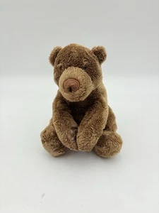 Goodnight Sleep Right Teddybär Plüschtier Merrymakers Claire Freedman 8 Zoll - Bild 1 von 8