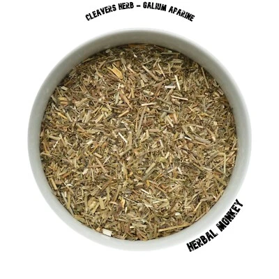 HERBALMONKEY Cleavers Herb | Galium Aparine | Organic Cleavers | Goose Grass
