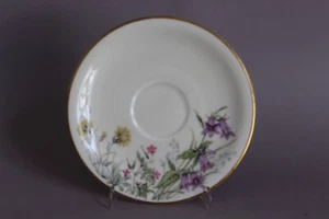 Krautheim Wiesengrund und Bergeshöhn Untertasse D 15,5 cm Selb Bavaria Scene H - Picture 1 of 4