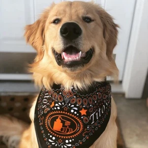 Tito’s Handmade Vodka Bandana New in Package Black and Orange Accessory - Picture 1 of 3