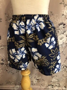 M.N. Bird Co Boys Size 4 Blue Hawaiian Print Swim Trunks Pineapple Mesh Liner - Picture 1 of 7