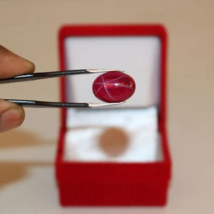 Natural Ring Size Star Ruby 9 Ct 6 Rays Oval Shape Loose Stone Certified A-142 - Picture 1 of 8