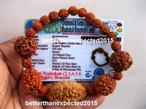 LAB CERTIFIED RUDRAKSHA RUDRAKSH 2 ,3,4,5,6 MUKHI 1 BEAD EACH BRACELET YOGA  A01 - Picture 1 of 2