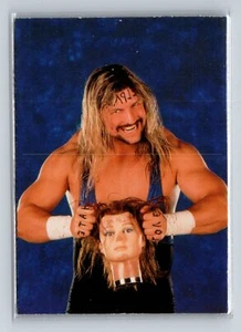 1999 Comic Images WWF SmackDown! Chromium #11 Al Snow - Picture 1 of 2