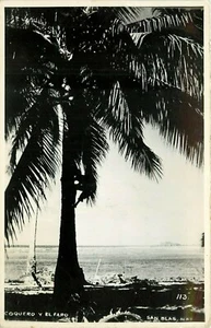 Coquero Y El Faro Mexico palm tree Postcard - Picture 1 of 2
