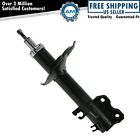 Front Strut Assembly Left Driver Side LH LF For Infiniti I35 Nissan Maxima