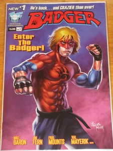 Badger 1 NM 9 issue comic lot Mike Baron Roach Wrangler Bull! Martial Arts Image - Picture 1 of 6