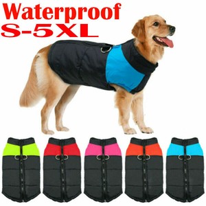 dog coats ebay