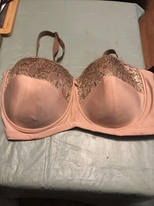 Ashley Stewart Butterfly Lace Details Bra Size 44D - Picture 1 of 11