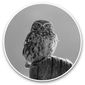 2 x Vinyl Aufkleber 20 cm (BW) - schöne Eule Winter Schnee Vogel #41566 - Bild 1 von 8