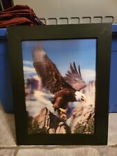 19x15 3D 3 In 1 Hologram Framed Picture Wall Art - Eagle