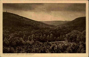 Bosque de Teutoburgo región Detmold postal 1929 lote en el valle pagano con monumento a Hermann - Imagen 1 de 1