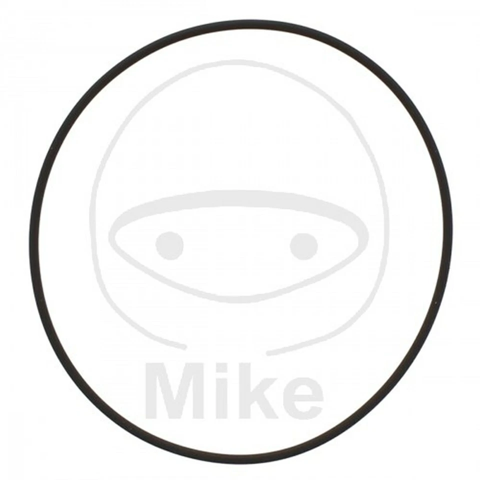 Joint De Pompe À Eau 2X78 Mm 734.19.95 Pour Honda 600 Cb 600 F Hornet S 2000- - Photo 1/1