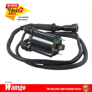 New Ignition Coil & Spark Plug Cap For Honda Shadow VLX 600 VT600 1988-2007 - Picture 1 of 10