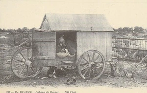 CP Repro 251 in schöner Schäferhütte  - Bild 1 von 2
