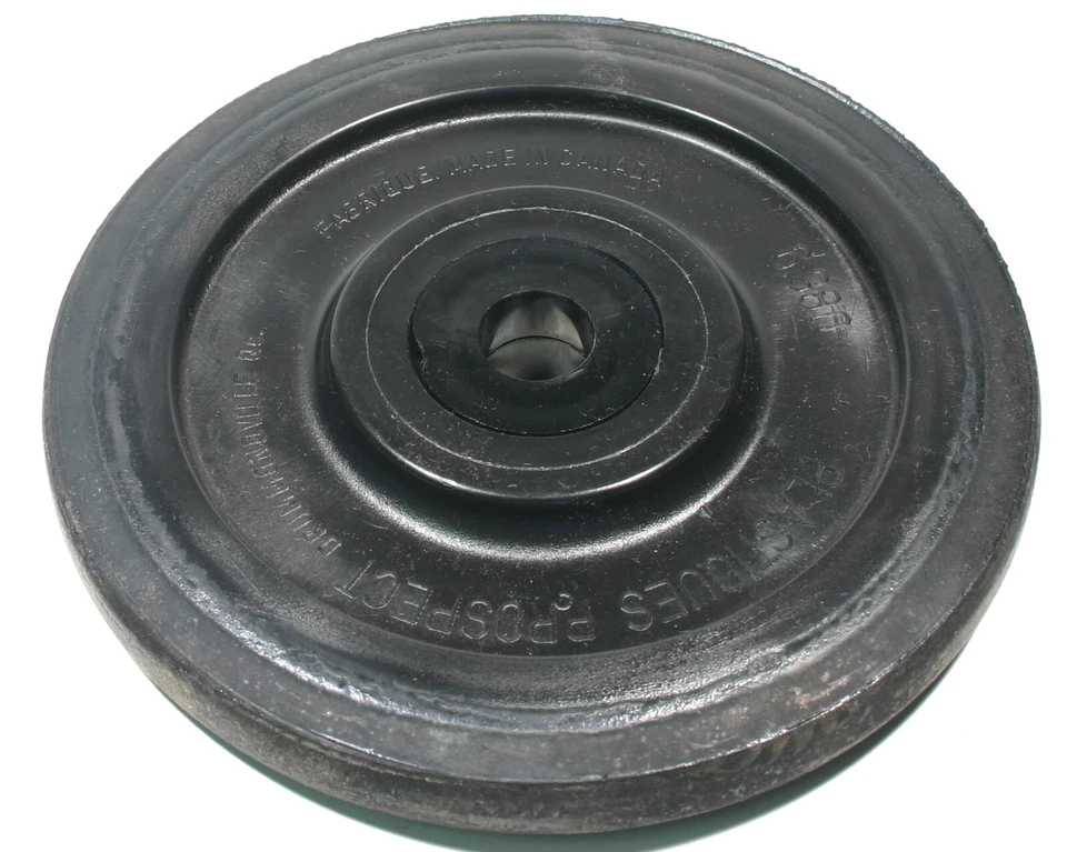 Arctic Cat Z 120 & ZR 120,1999 - 2002,空转轮和轴承 - 6.375 — 第 1/1 张图片