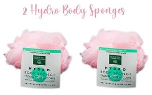 Earth Therapeutics Exfoliation Therapy Hydro Body Sponge Loofah Pink 2 Count 