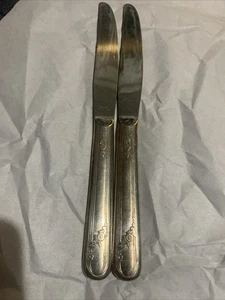 2 Vintage Tudor Stainless Steel Flatware knife 9”Long - Picture 1 of 6