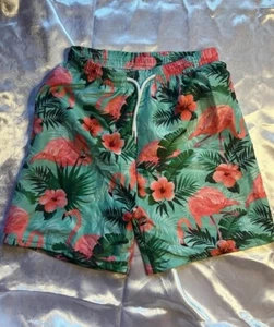 BOYS FLAMINGO PRINT SWIM TRUNKS Size 13-14 - Picture 1 of 6
