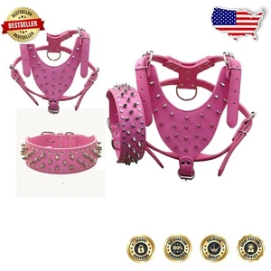 Durable Leather Spiked Studded Collar and Harness Set for Pit Bulls & Boxers - Picture 1 of 4