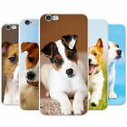 Jack Russell Terrier Dog Snap-on Hard Back Case Phone Cover for Google Phones