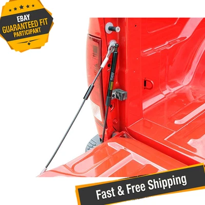 Asistencia de puerta trasera de camioneta Dee Zee DZ43300 para Dodge Ram 2002-2009 Foto 1 de 4