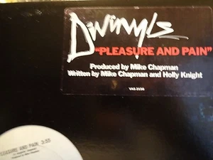 Divinyls Pleasure & Pain 1 track Us 12" - Picture 1 of 1