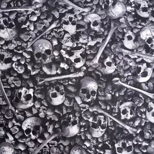 100% Cotton Digital Fabric Timeless Treasures Skulls and Bones Spooky 112cm Wide - Picture 1 of 3