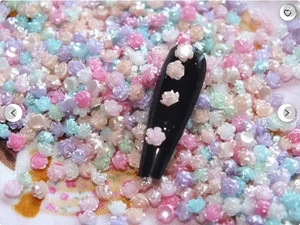 100 Pcs Tiny 4mm Pastel pearlescent Mixed Resin Roses Flower For Nail Art Charms - Picture 1 of 2