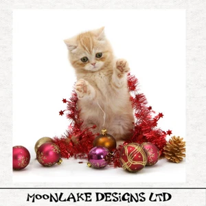 Christmas - Fun Ginger Cat Fabric Craft Panels in 100% Cotton or Polyester - Picture 1 of 3
