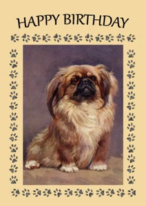 PEKINGESE SÜSSE PEKE SITZENDER HUND GEBURTSTAGSGRÜSSE NOTIZKARTE - Bild 1 von 1