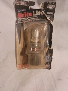 xenon headlight - Picture 1 of 1