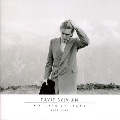 David Sylvian - A Victim Of Stars - Bild 1 von 4