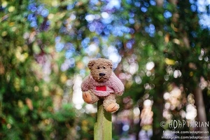 Meyer-Optik DOMIPLAN 50/2.8 | Exakta Exa | Trioplan bubbly bokeh - SAMPLES - Picture 1 of 12