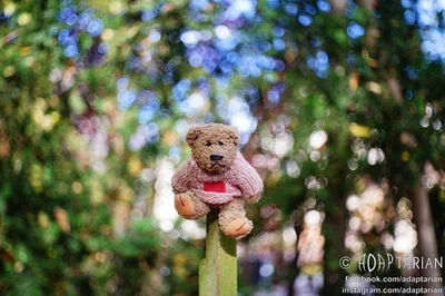 Meyer-Optik DOMIPLAN 50/2.8 | Exakta Exa | Trioplan bubbly bokeh - SAMPLES - Image 1 of 4