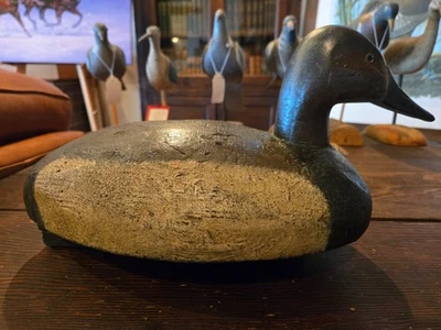 Michigan Canvasback Hen atribuido a Carl Wallach Foto 1 de 4