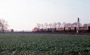 Originaldia 221 xxx, 212 xxx, bei Leer, 12.1976 - Picture 1 of 1