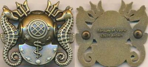 MARINE Certificat d’Infirmier Hyperbariste, dos plat relief, attache type pin’s - Imagen 1 de 1